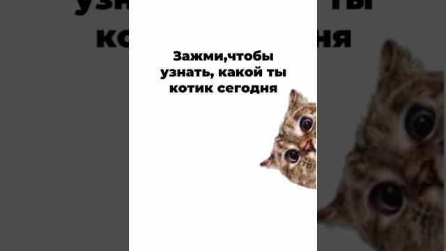 Какой ты котик? #котики#узнайсебя#cat#прикол Какой ты котик? #котики#узнайсебя#cat#прикол