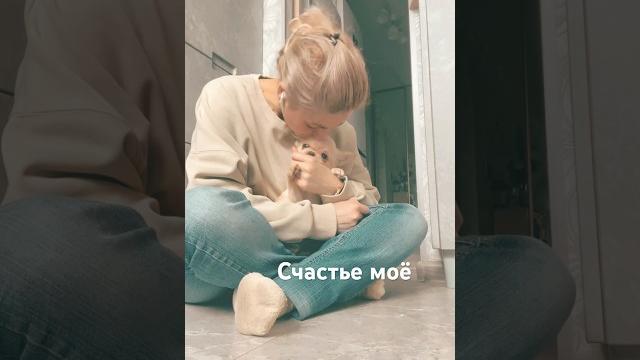 #счастье#счастьевпростом#маленькие#собачки#чихуахуа#милота#щенок#любовь#чихуашка#рыжик#москва#chihua #счастье#счастьевпростом#маленькие#собачки#чихуахуа#милота#щенок#любовь#чихуашка#рыжик#москва#chihua