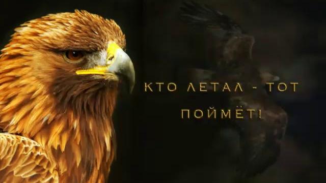 Кто летал тот поймёт. Песня про орла Кто летал тот поймёт. Песня про орла