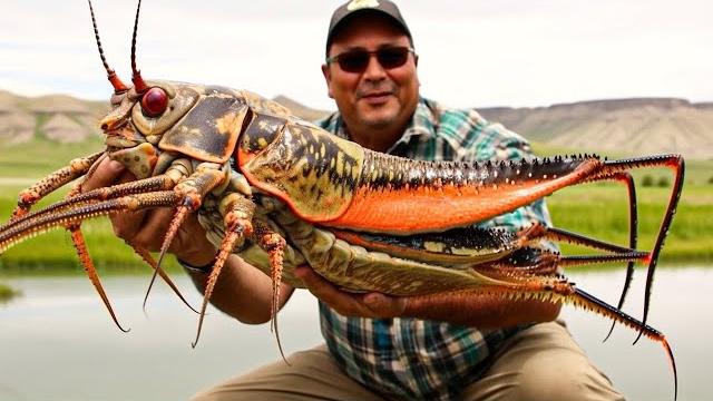 100 Самых Больших Насекомых в Мире 100 Самых Больших Насекомых в Мире
