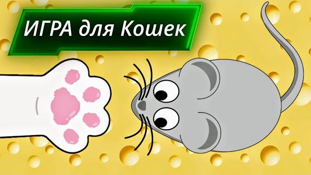 Осторожно!!! МЫШЬ!!! Игра для кошек! A game for cats! Осторожно!!! МЫШЬ!!! Игра для кошек! A game for cats!