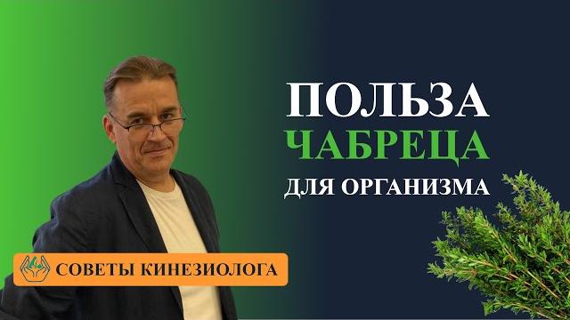 ЧАБРЕЦ ТИМЬЯН ПОЛЗУЧИЙ Лучшие целебные травы для ПОВЫШЕНИЯ ИММУНИТЕТА Природный иммуномодулятор ЧАБРЕЦ ТИМЬЯН ПОЛЗУЧИЙ Лучшие целебные травы для ПОВЫШЕНИЯ ИММУНИТЕТА Природный иммуномодулятор
