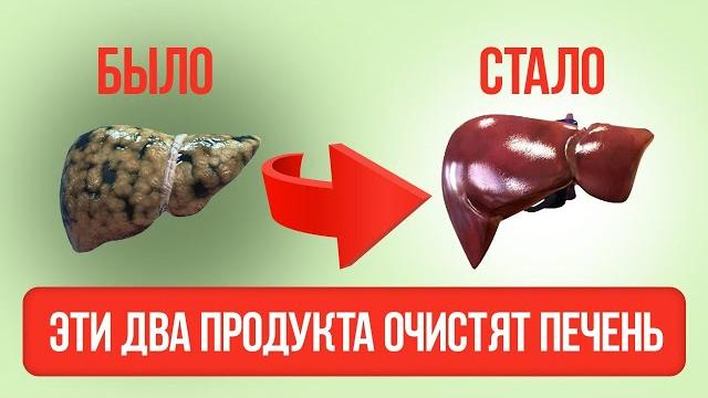 Необычный способ очистить печень от жира. Необычный способ очистить печень от жира.