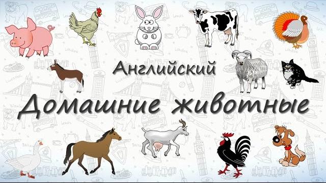 Домашние животные на английском. ВИДЕОТРЕНАЖЕР Домашние животные на английском. ВИДЕОТРЕНАЖЕР
