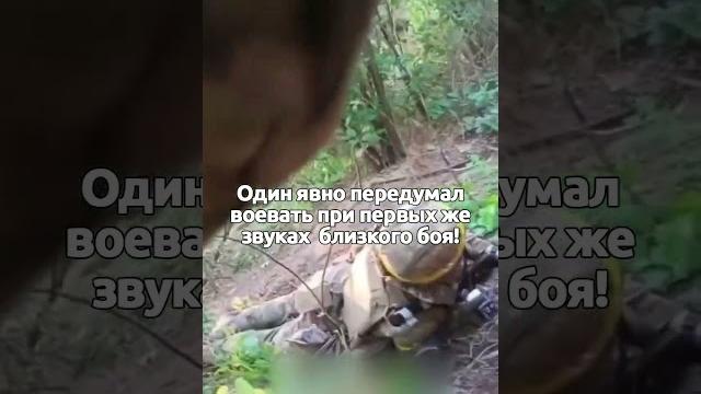 Испугался звуков боя и отказался вставать с земли – забавное видео от иностранцев ВСУ Испугался звуков боя и отказался вставать с земли – забавное видео от иностранцев ВСУ