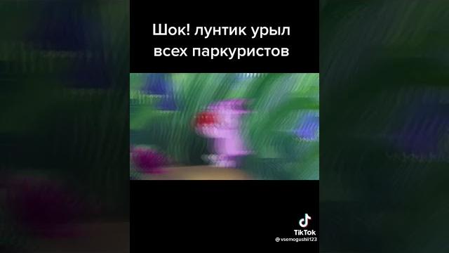 Ярик Лапа Ярик Лапа