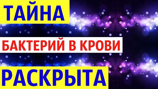 Тайна бактерий в крови разгадана Тайна бактерий в крови разгадана