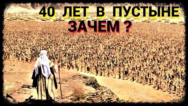 40 лет в Пустыне - Зачем? 40 лет в Пустыне - Зачем?