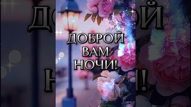 Хорошего вечера и доброй ночи!!! #добройночи #shortsvideo #музадуши #rec #спокойнойночи #длявас Хорошего вечера и доброй ночи!!! #добройночи #shortsvideo #музадуши #rec #спокойнойночи #длявас
