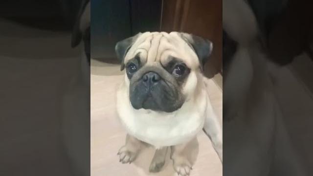 о боже какой мужчина о боже какой мужчина