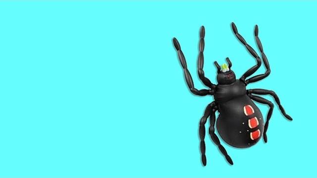 Игра для кошек, котов и котят! На экране онлайн для вашей кошки бегает паук по своей паутине! Игра для кошек, котов и котят! На экране онлайн для вашей кошки бегает паук по своей паутине!