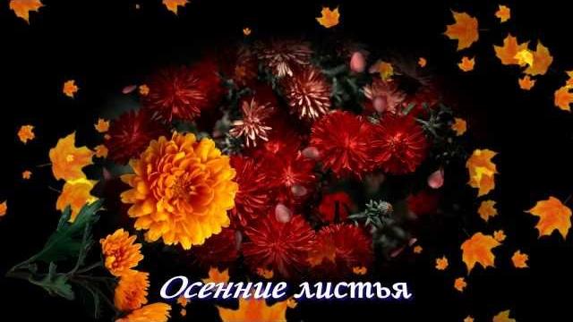 С Днём учителя, дорогие друзья! С Днём учителя, дорогие друзья!