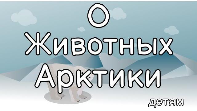 Животные Арктики. Все обо всем. Животные Арктики. Все обо всем.
