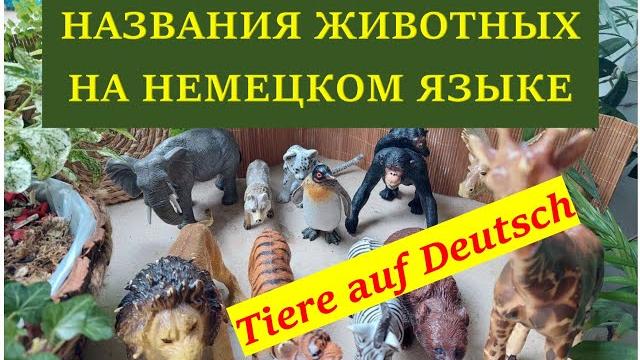 Названия животных на немецком языке Названия животных на немецком языке