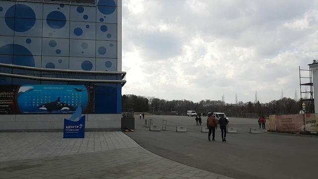 Парковка у Москвариума на ВДНХ Парковка у Москвариума на ВДНХ