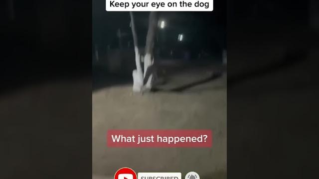 The scariest video #shorts #scary #tiktok The scariest video #shorts #scary #tiktok