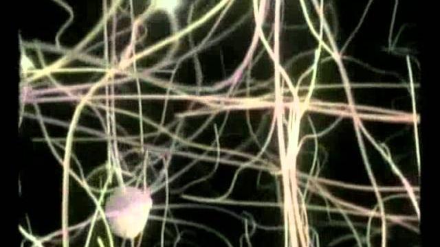25-й кадр 25-й кадр