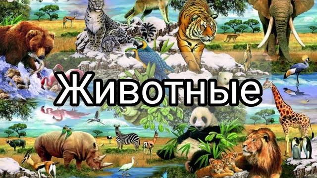 Животные детям.Животные тундры,тайги,степи,Африки, Арктики и др.Развивающее видео для детей#животные Животные детям.Животные тундры,тайги,степи,Африки, Арктики и др.Развивающее видео для детей#животные