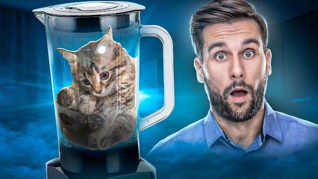КОТ В БЛЕНДЕРЕ - УЖАСЫ СЕТИ КОТ В БЛЕНДЕРЕ - УЖАСЫ СЕТИ
