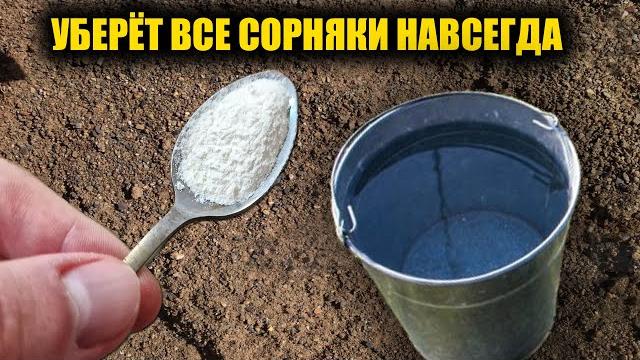 Любые сорняки исчезнут за 1 минуту навсегда! Рабочий способ как избавиться от сорняков без хлопот Любые сорняки исчезнут за 1 минуту навсегда! Рабочий способ как избавиться от сорняков без хлопот
