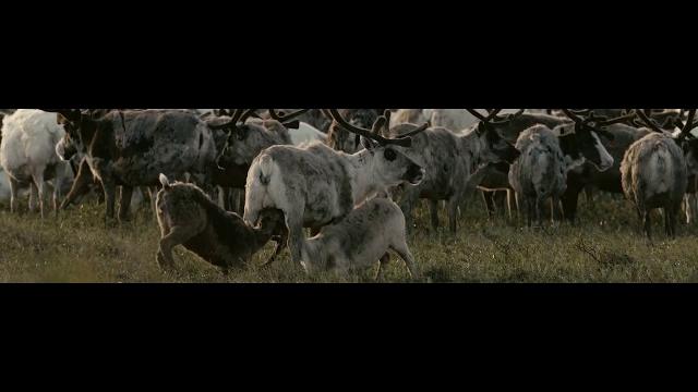 Бескрайне красивая Чукотка Бескрайне красивая Чукотка