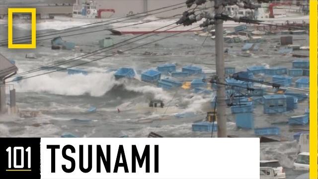 Tsunamis 101 | National Geographic Tsunamis 101 | National Geographic