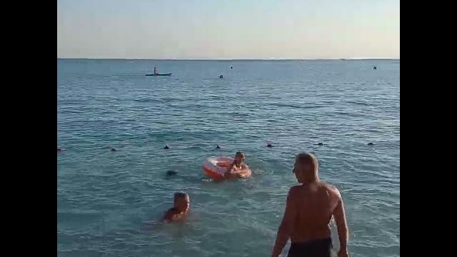 Ольгинка 2022, Краснодарский край, пляж, обзор! Ольгинка 2022, Краснодарский край, пляж, обзор!
