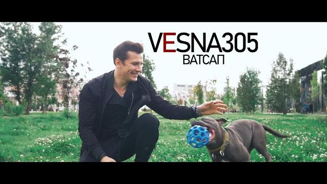 VESNA305 - ВАТСАП (клип) VESNA305 - ВАТСАП (клип)