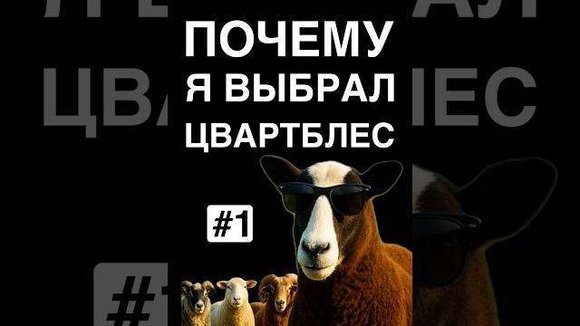 Какая порода овец самая лучшая? Моё мнение! #овцеводство #овцы #бараны #цвартблес #овца #баран Какая порода овец самая лучшая? Моё мнение! #овцеводство #овцы #бараны #цвартблес #овца #баран