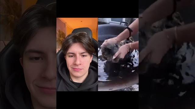 ЗАЧЕМ ОНИ ЭТО СДЕЛАЛИ? ЗАЧЕМ ОНИ ЭТО СДЕЛАЛИ?