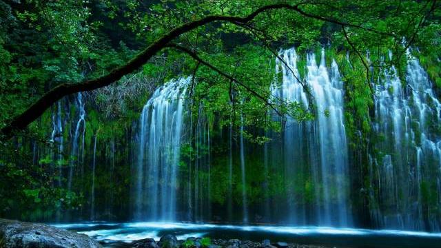 Футаж природа 2 Футаж природа 2