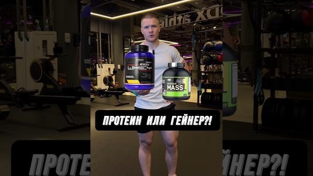 ПРОТЕИН ИЛИ ГЕЙНЕР?! ПРОТЕИН ИЛИ ГЕЙНЕР?!