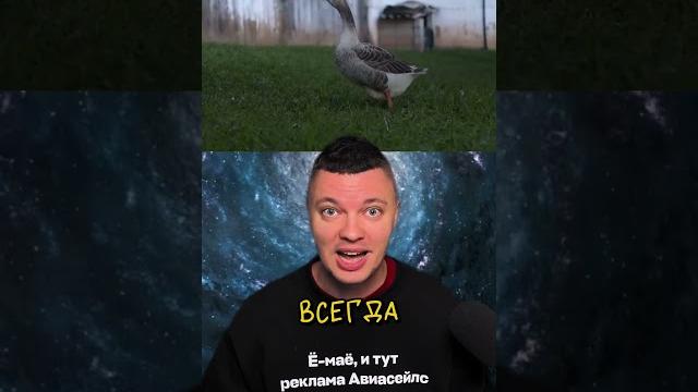 Гуси Охраняют Тюрьму в Бразилии ️ Гуси Охраняют Тюрьму в Бразилии ️