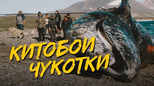 Как и зачем эскимосы убивают 23-метрового кита палкой Как и зачем эскимосы убивают 23-метрового кита палкой