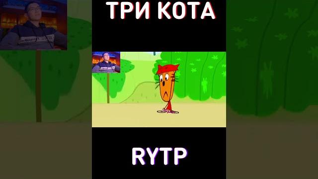 МУД RYTP Три Кота МУД RYTP Три Кота