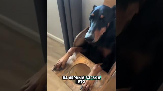 Все не так просто Все не так просто