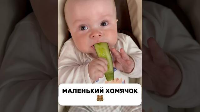 Снова с Вами🫂 #baby #cute #декрет #малыш #материнство #новорожденный #младенец #мама #newborn Снова с Вами🫂 #baby #cute #декрет #малыш #материнство #новорожденный #младенец #мама #newborn