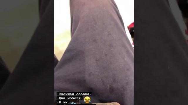 МАРТИ ЭДИСОНА СДОХ?! МАРТИ ЭДИСОНА СДОХ?!