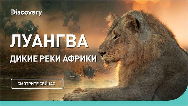 Луангва | Дикие реки Африки | Discovery Луангва | Дикие реки Африки | Discovery