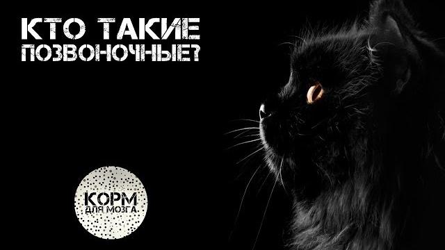 Кто такие позвоночные? Кто такие позвоночные?