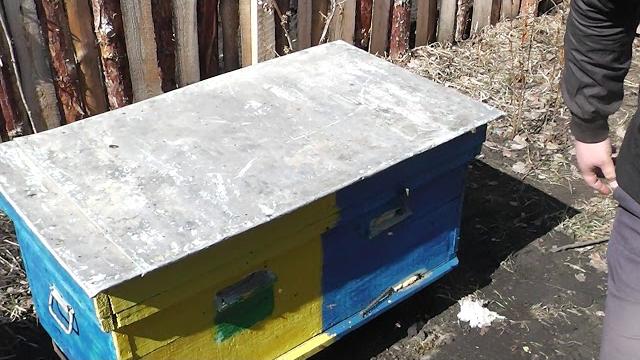 КАК ПОСТАВИТЬ ПОЛОСКИ ОТ КЛЕЩА ВАРРОА КАК ПОСТАВИТЬ ПОЛОСКИ ОТ КЛЕЩА ВАРРОА