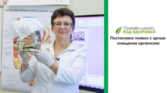 Постановка пиявок, с целью очищения организма. Постановка пиявок, с целью очищения организма.