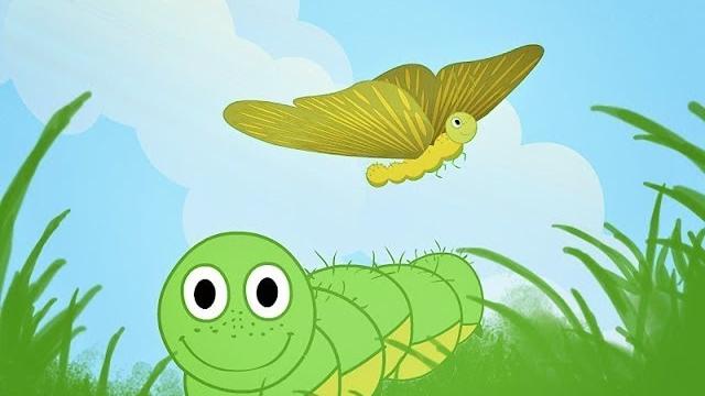 Как из гусеницы получается бабочка? Как из гусеницы получается бабочка?