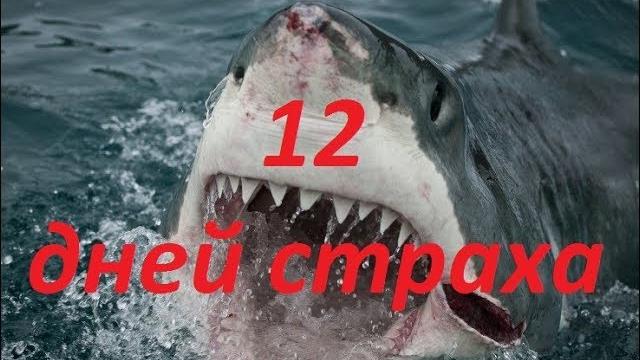 ФИЛЬМ ПРО АКУЛУ - УБИЙЦУ " 12 ДНЕЙ СТРАХА ", драма ФИЛЬМ ПРО АКУЛУ - УБИЙЦУ " 12 ДНЕЙ СТРАХА ", драма
