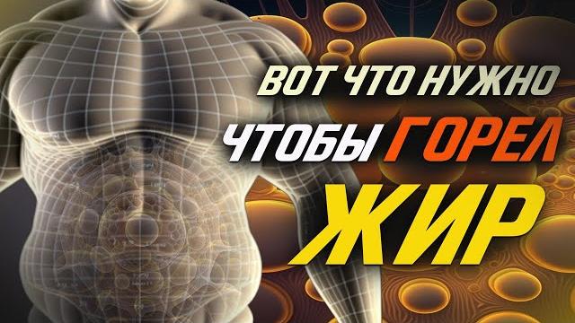 Вот что Реально Сжигает Жир (Обязательно к Просмотру) Вот что Реально Сжигает Жир (Обязательно к Просмотру)