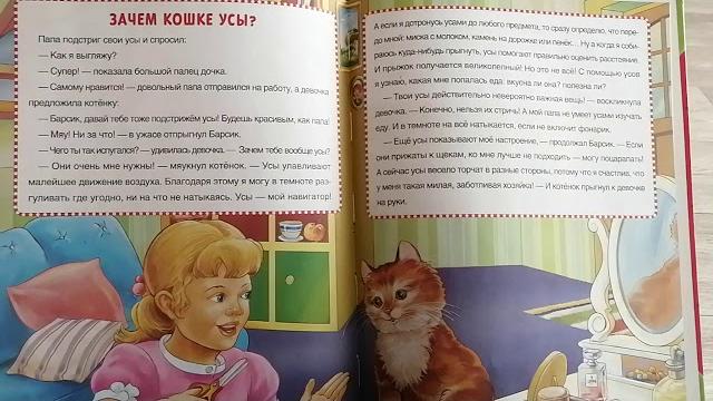 зачем кошке усы зачем кошке усы