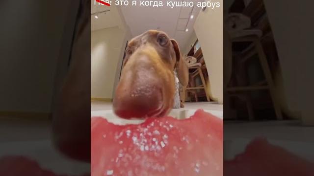 Видео не мое видео из Pinterest но текст добавила я создатель видео в Pinterest: @Мирина Видео не мое видео из Pinterest но текст добавила я создатель видео в Pinterest: @Мирина