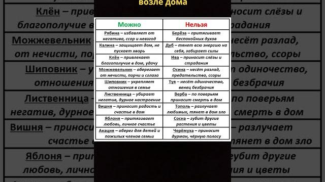 Никогда не сажайте эти деревья возле дома Никогда не сажайте эти деревья возле дома
