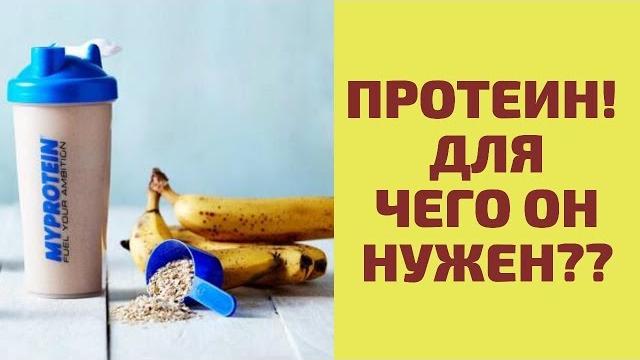 ПРОТЕИН! Для чего он нужен?? ПРОТЕИН! Для чего он нужен??
