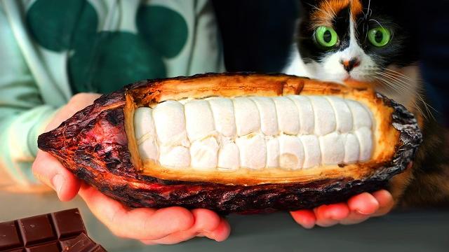 Я СДЕЛАЛ ШОКОЛАД С НУЛЯ Я СДЕЛАЛ ШОКОЛАД С НУЛЯ